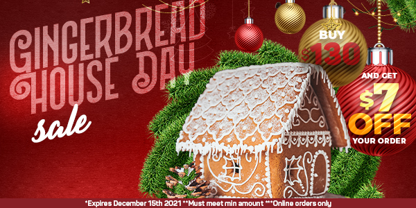 Gingerbread House Day Stock Springs Discount