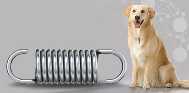 Large Extension Springs