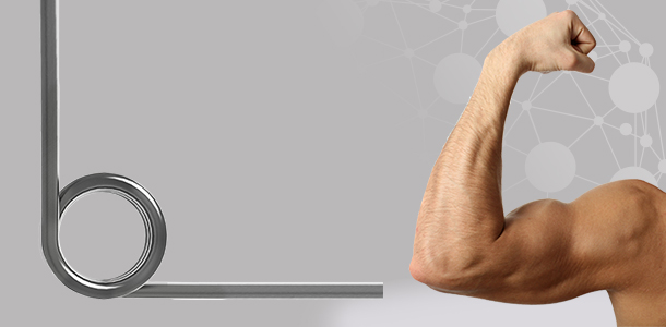 Large Torsion Spring