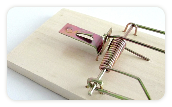 prototype torsion springs for sample testing prototype torsion springs for sample testing